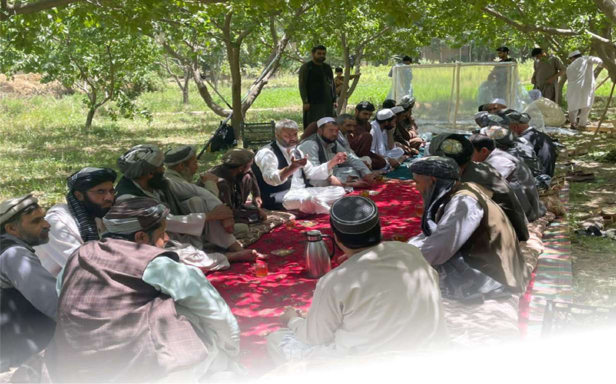 Farmer field school session in an orchard setting