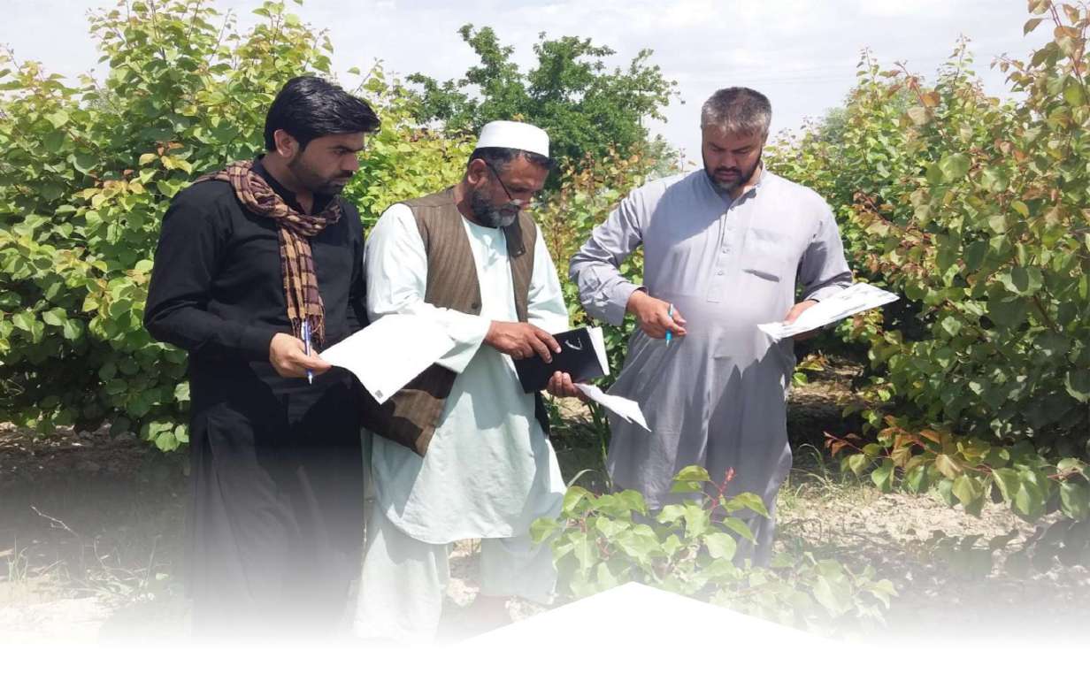 Nursery inspection visit by company technical staff