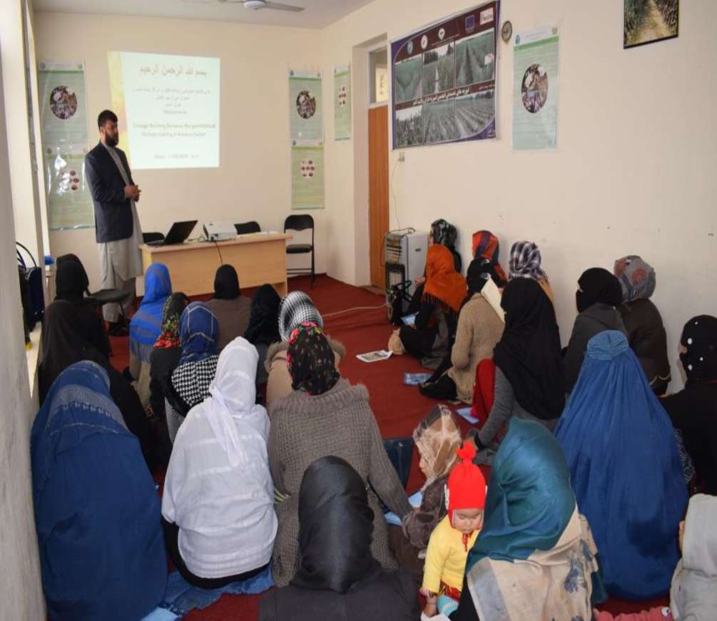 Producer training session inside a classroom