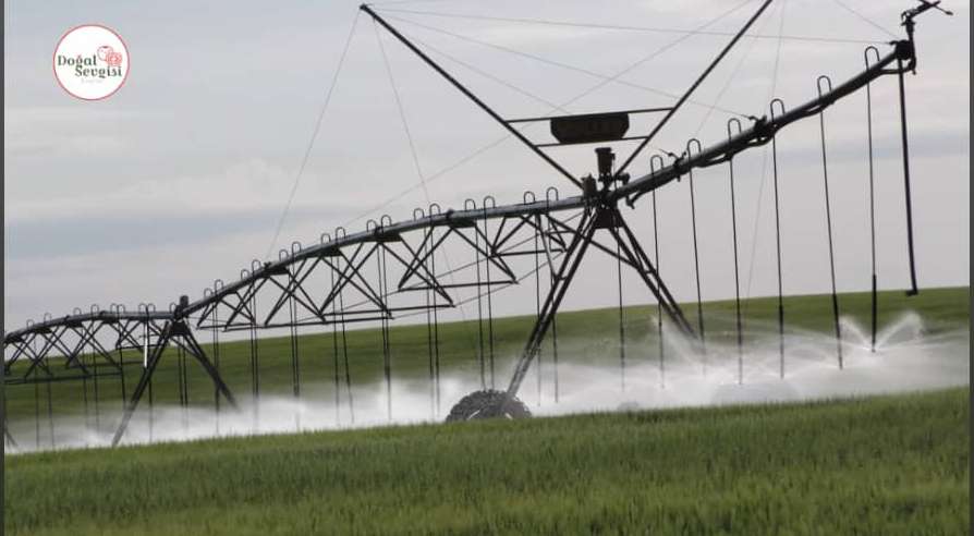 Irrigation system operating over a cultivated field